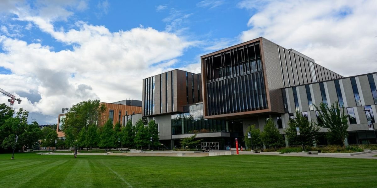 academy trust